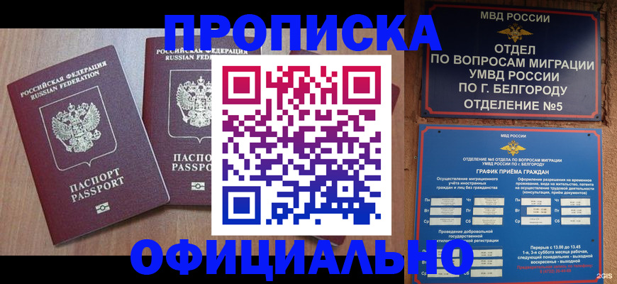найти адрес прописки в Тихорецке